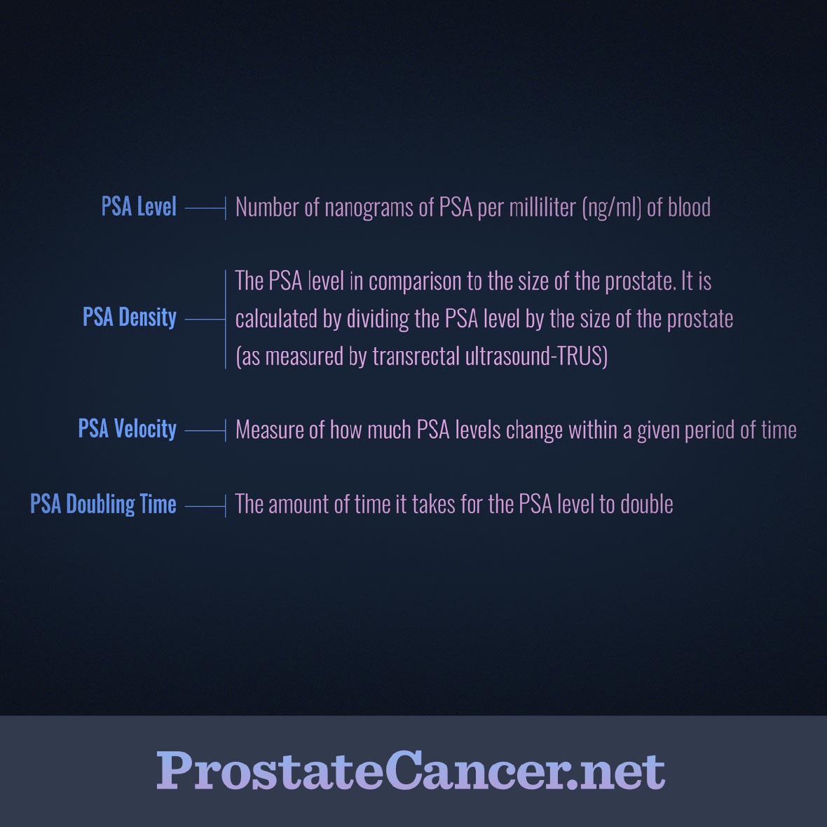 Terminoloy including PSA Level, PSA Density, PSA Velocity, PSA Doubling Time