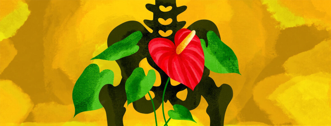 anthurium flower is a metaphor for sex after prostate cancer